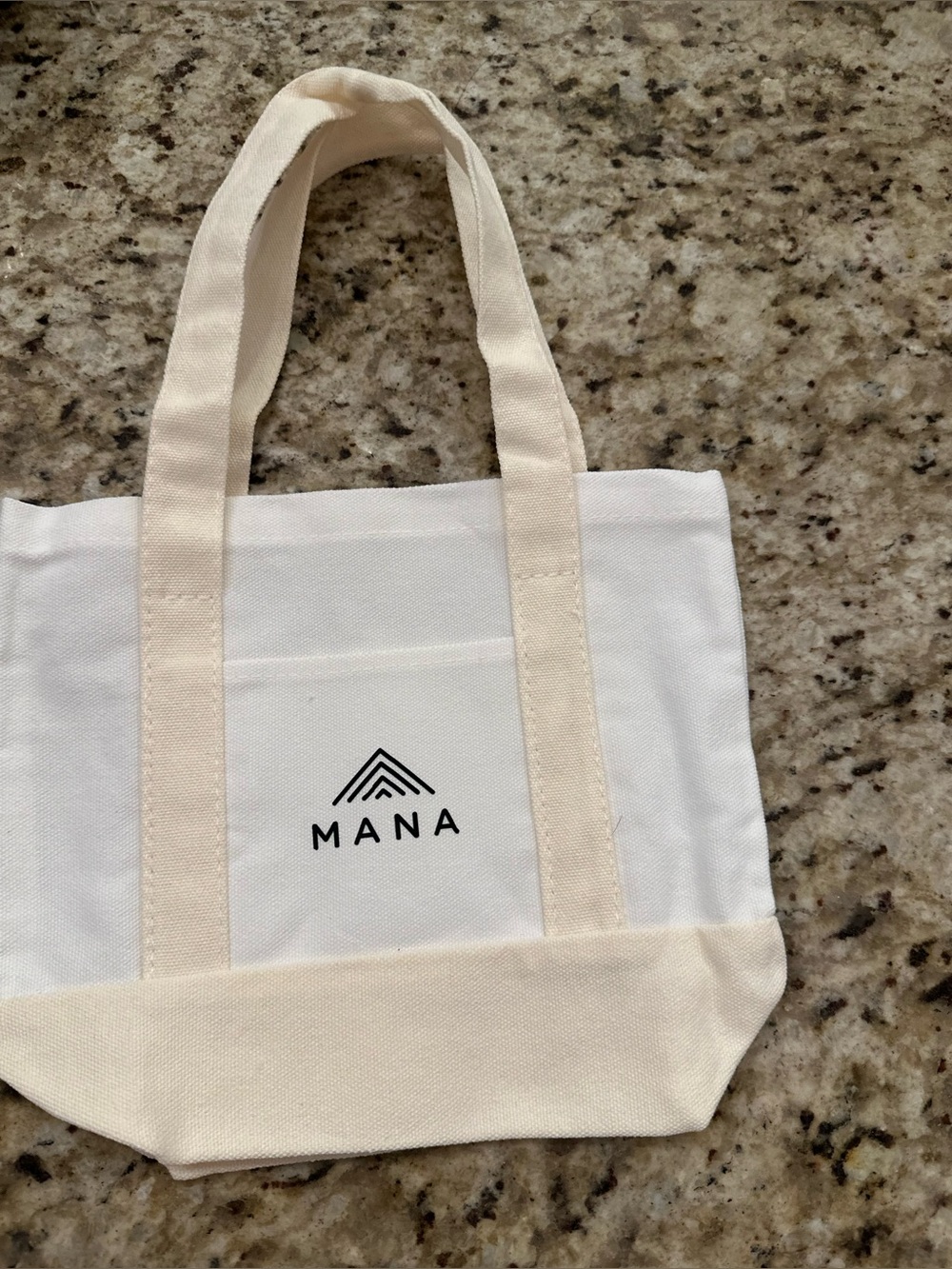 MANA Mini Canvas Tote Bag White & Beige Brand Logo Small Utility Handbag Lunch